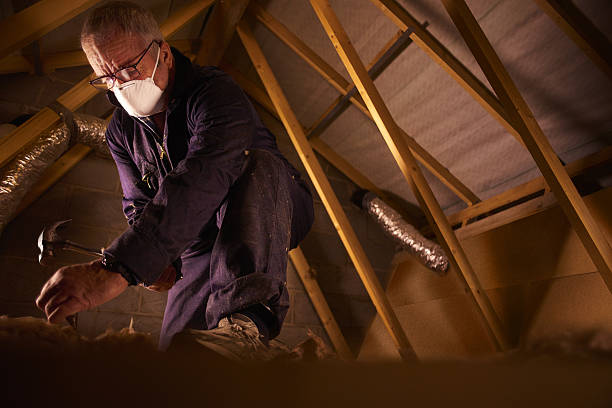 Best Insulation Maintenance and Repair in Savannah, MO